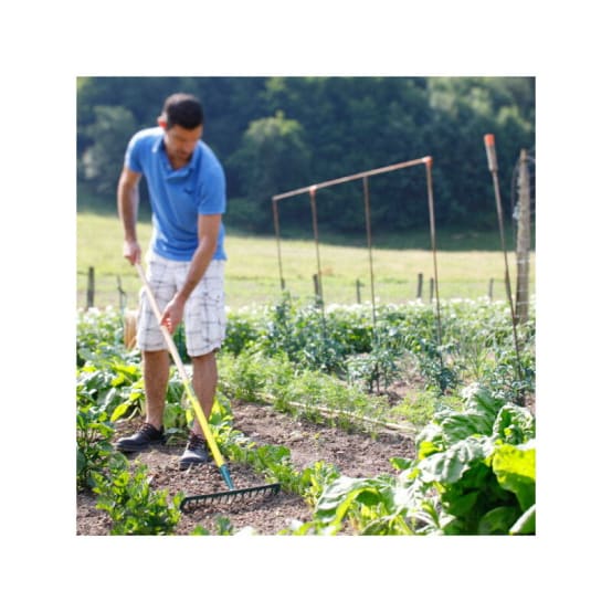 Râteau Agricole 14 Dents Avec Mango | Leroy Merlin