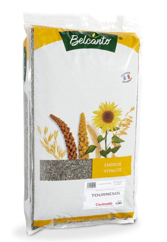 DTP-SOFT 6 Kg De Graines De Tournesol Rayées Nourriture Pour Oiseaux