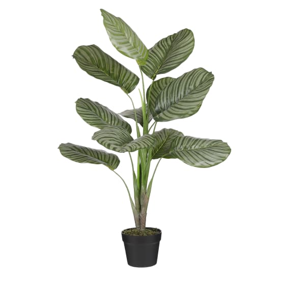 Calathea orbifolia en pot vert -polyester-Vert- h90xd60cm