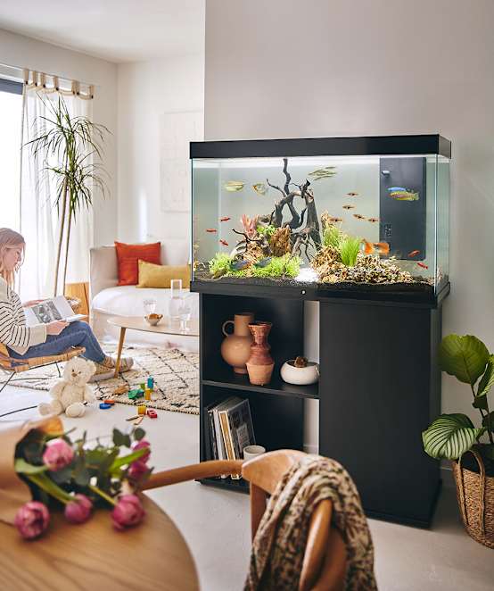 Aquarium pour poisson Tropical 120 XL noir Pure Family Jardiland