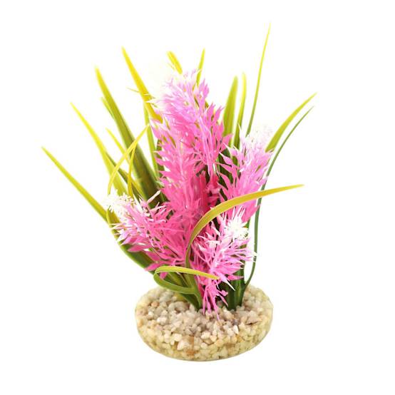 Décoration d'Aquarium SYDECO Jardiland