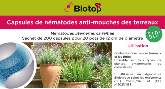 Biotop - Anti-mouches terreau capsules nématodes Sf x200
