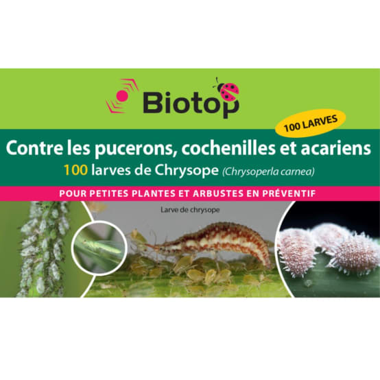 Biotop - Chrysopes larves anti-pucerons et autres x100 Vivapack
