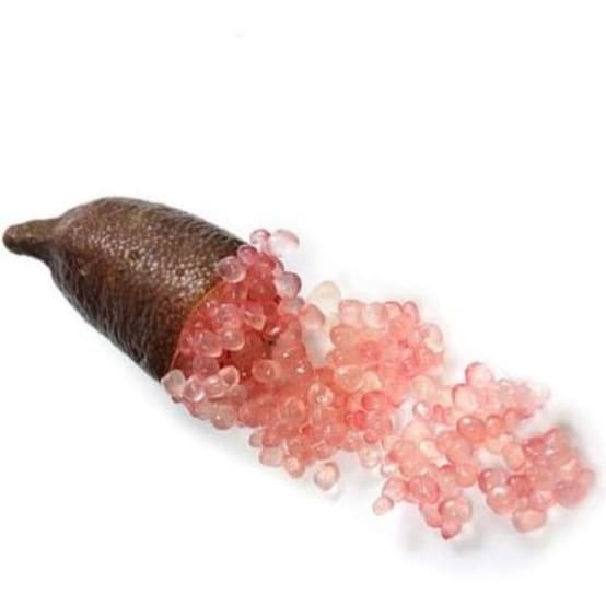 Citronnier caviar Rose Bio Pot de 3 litres Jardiland