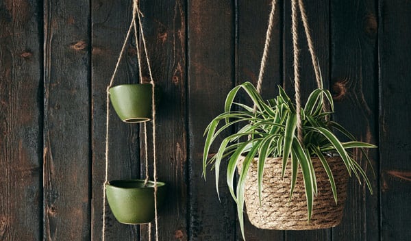 21 cache-pots originaux pour sublimer votre intérieur - Jardiland