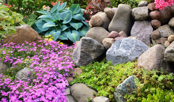 5 idées d'allées de jardin avec des pas japonais - Jardiland