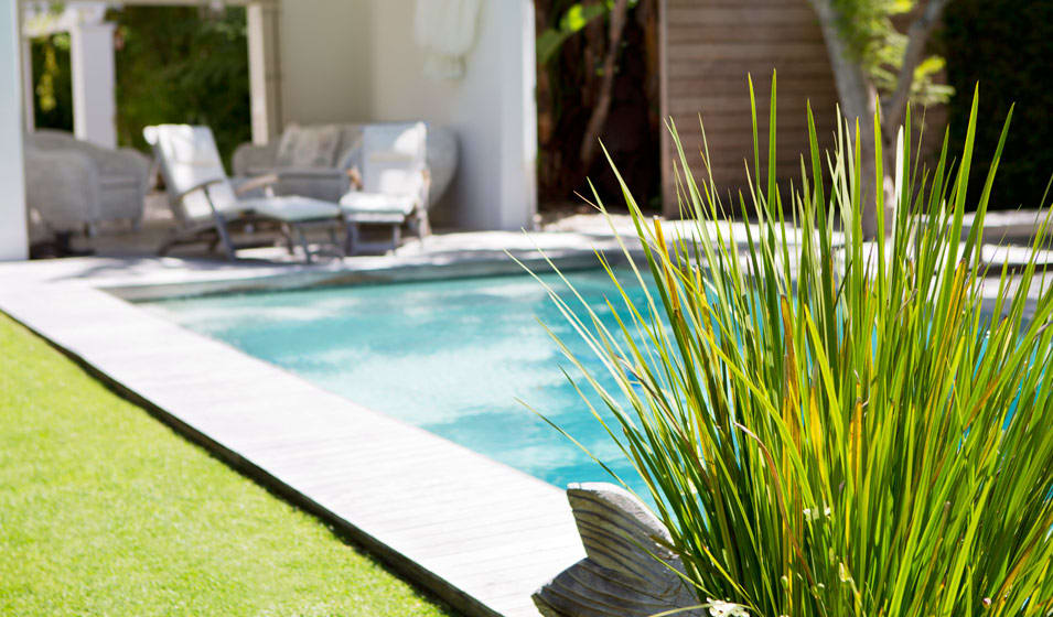 Comment choisir une bâche pour bassin ? - Blog Jardin Couvert - Conseils  jardinage et serres