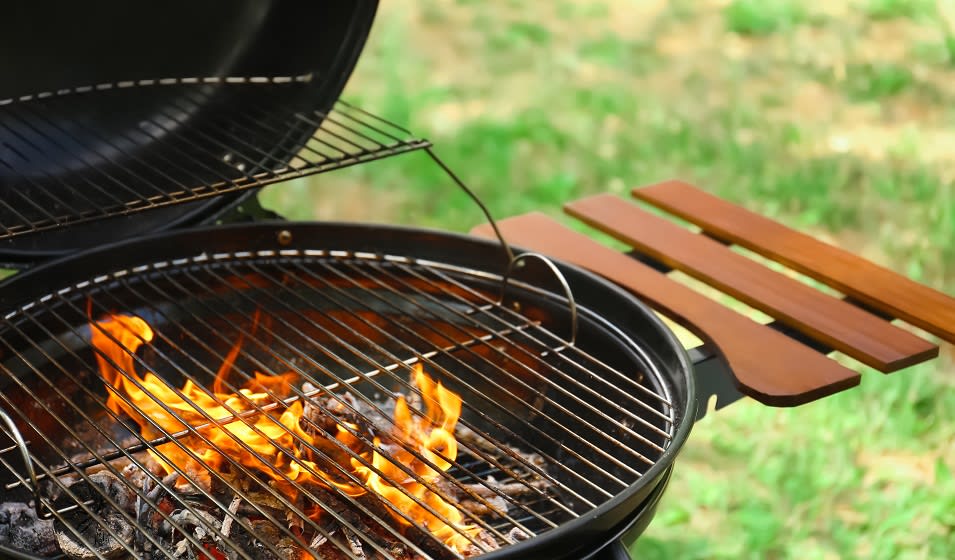 Quels combustibles pour le barbecue ? Charbon de bois, briquettes, pierre  de lave